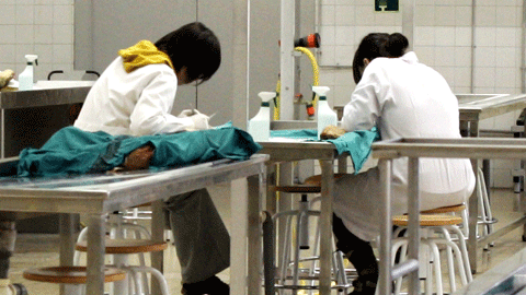 Aula de anatomía en la Facultad de Medicina