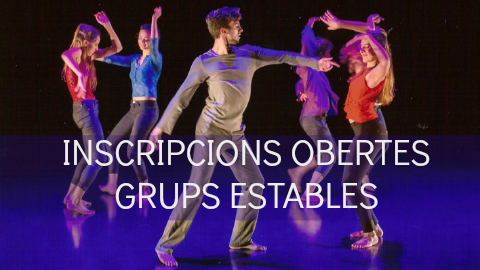 Inscripcions grups estables curs 2016-17