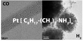 Nanopartícules de platí