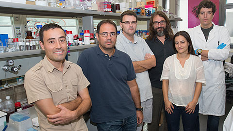El equipo de investigadores que ha desarrollado BiogásPlus