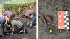 Acaba campanya d'excavació a la Draga juny 2018