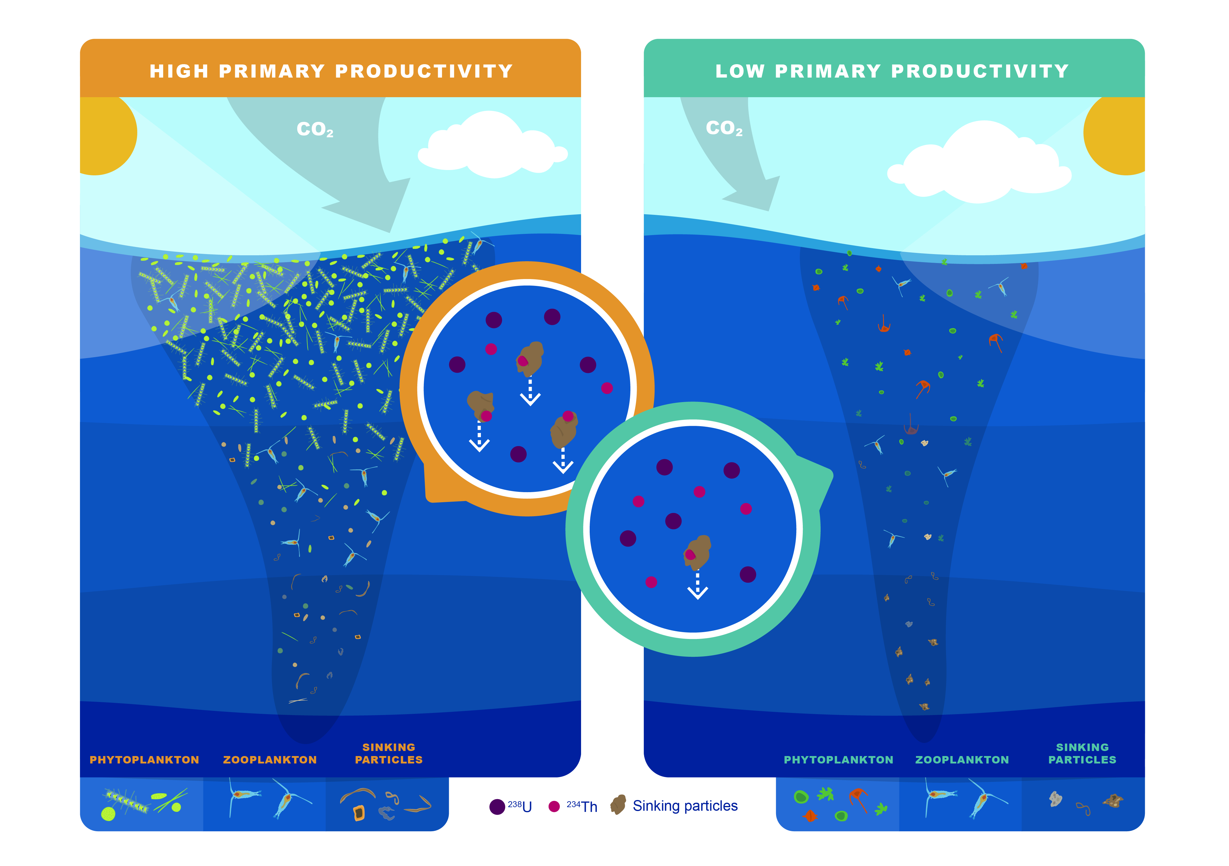 Short-lived radionuclides as tracers of ocean sinking particles ICTA-UAB