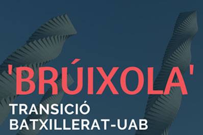 Projecte brúixola