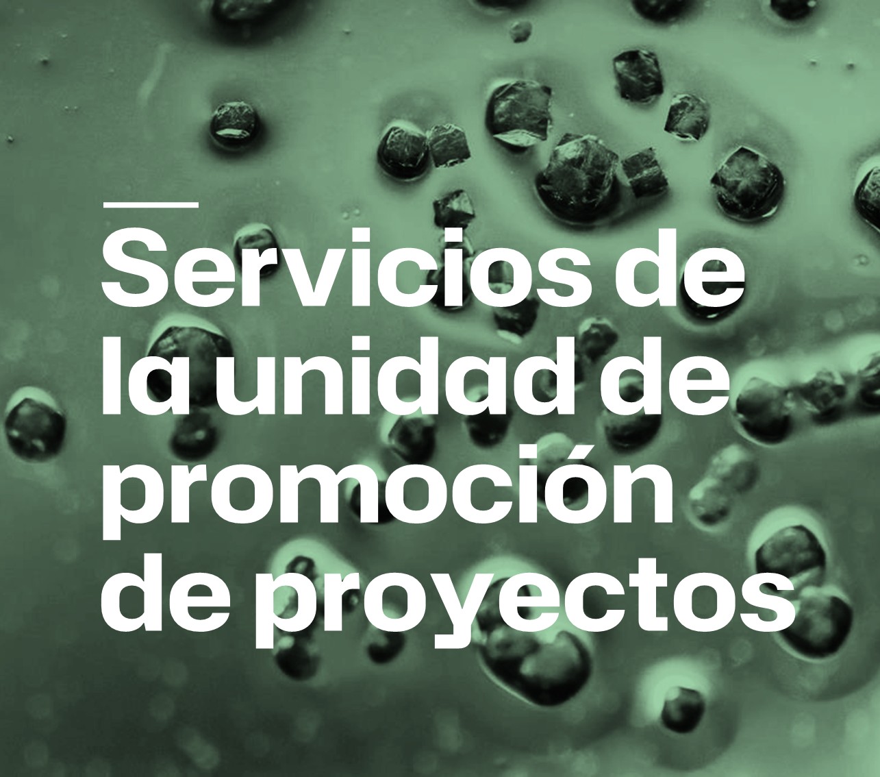 preaward