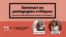 Formació docents en pedagogies crítiques Diverser