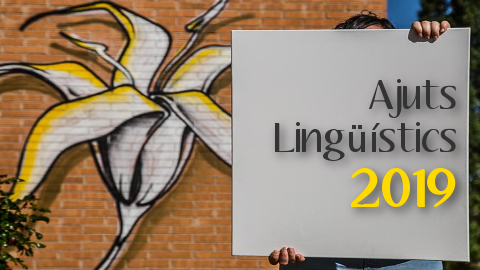 Imatge ajuts lingüístics 2019