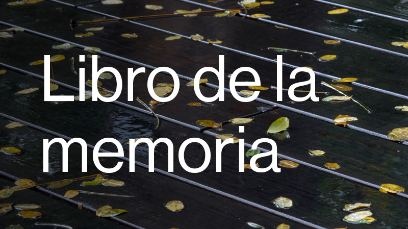 Libro de la memoria