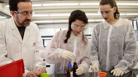 Química Interactiva