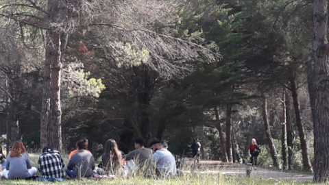 Imatge de la notícia Jornades Argó per a professorat de secundària