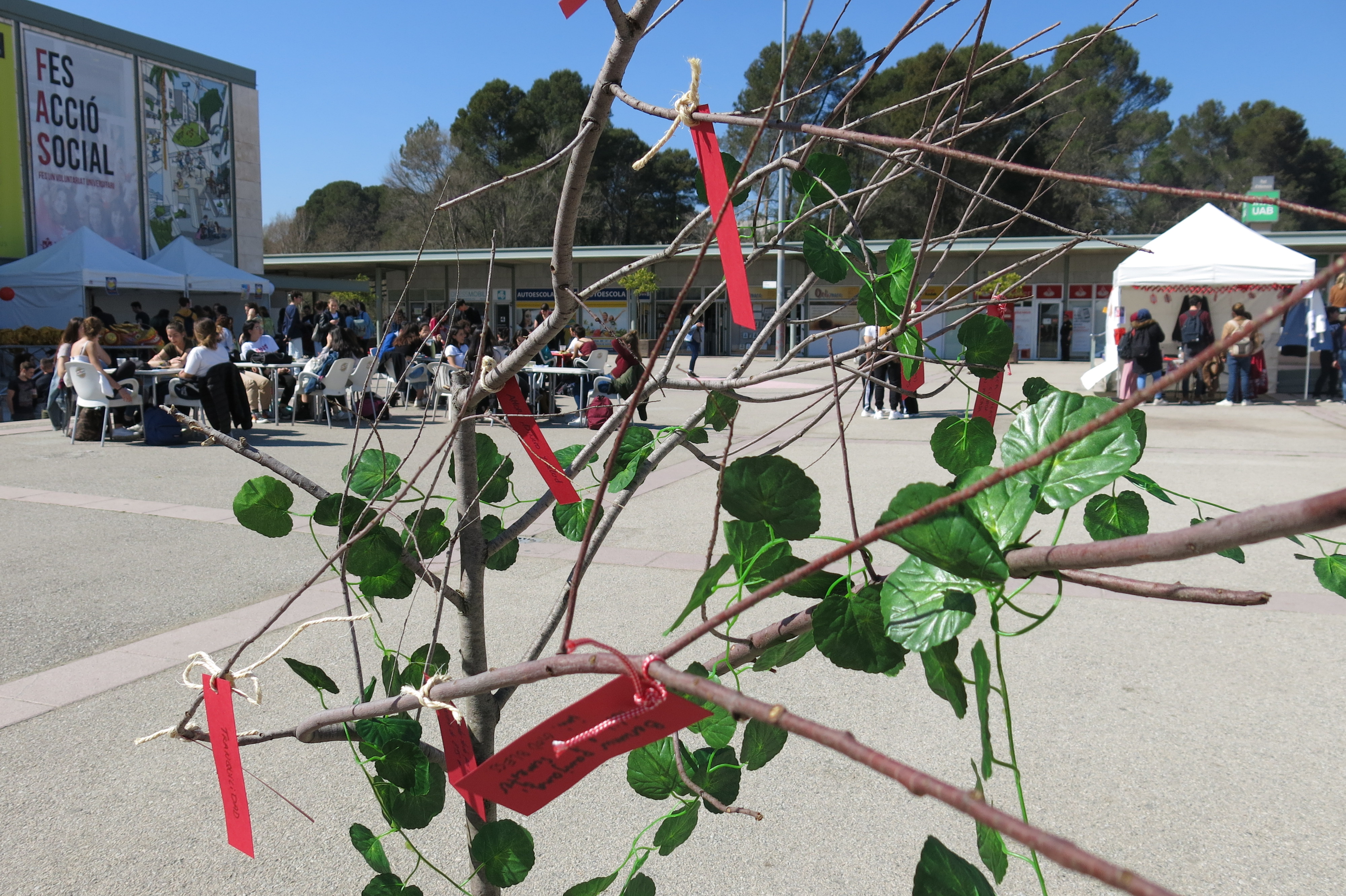 L'arbre dels desitjos de la FTI