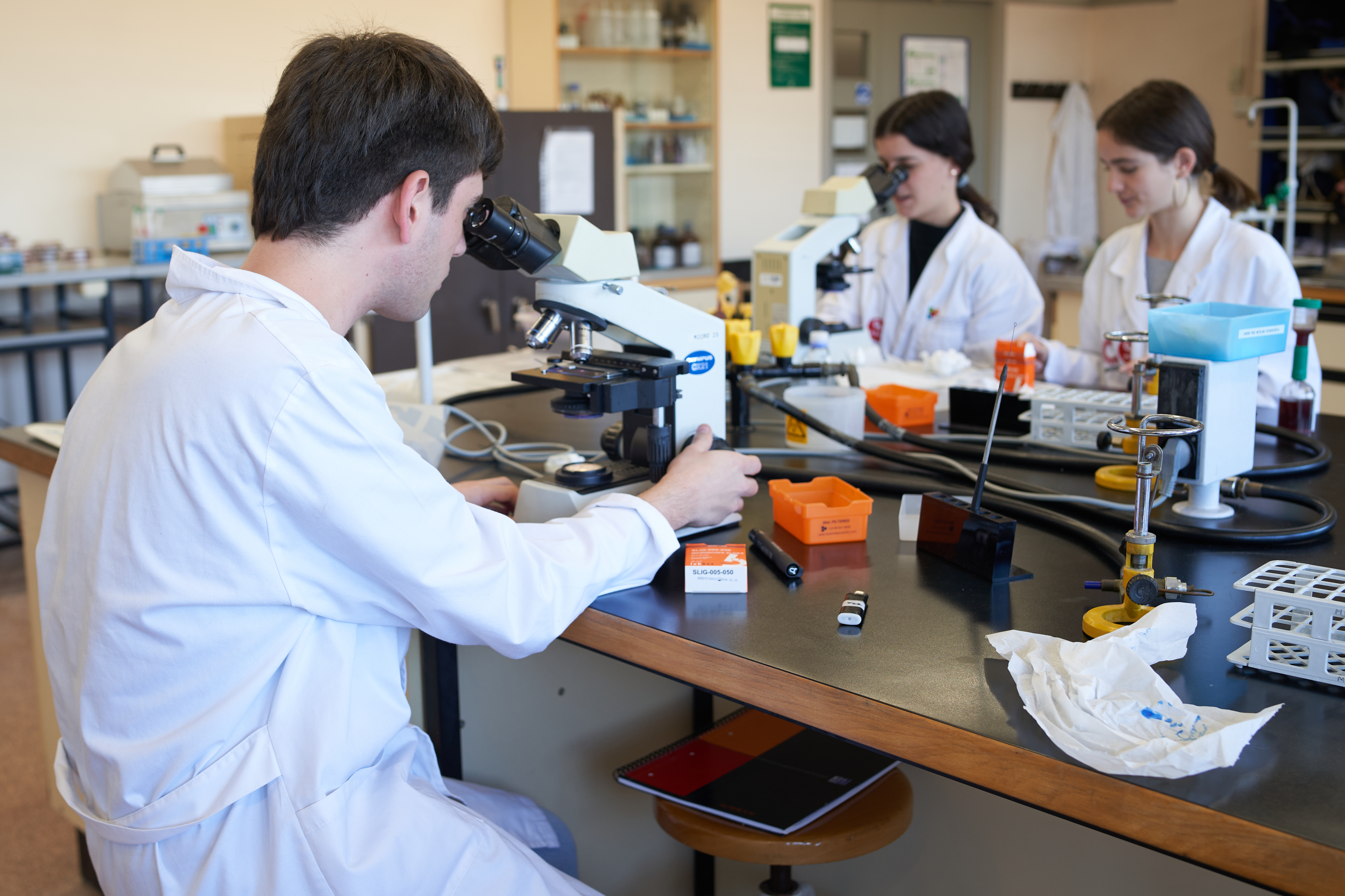 UAB doctorat 
