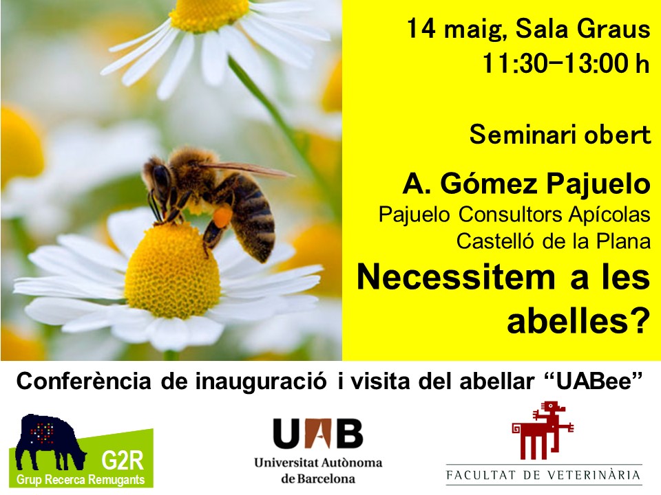 UABee_conf_Pajuelo_IMA