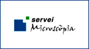 Visites guiades al Servei de Microscòpia