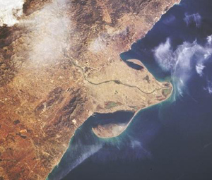 Delta de l'Ebre
