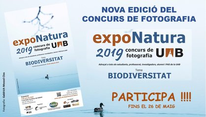 Imatge Exponatura 2019