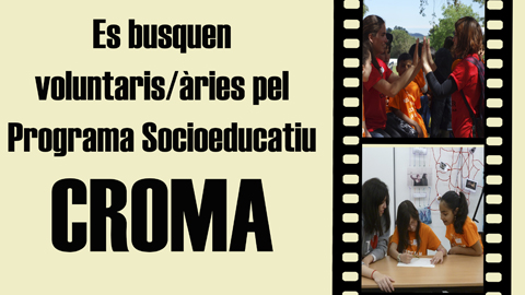 Voluntariat