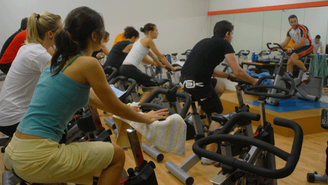 Physical Activity Service (SAF)