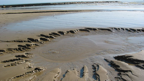 Submarine Groundwater Discharge