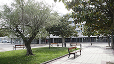 Edifici Blanc
