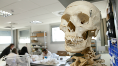 Doctorat en Biodiversitat foto2