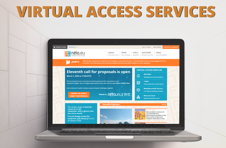 Interfaç dels serveis en línia d'NFFA