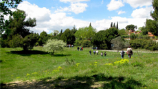 IMG caminada sostenible
