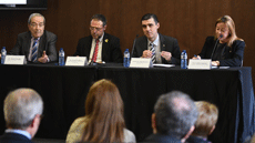 Presentació de l'estudi