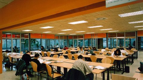 La biblioteca