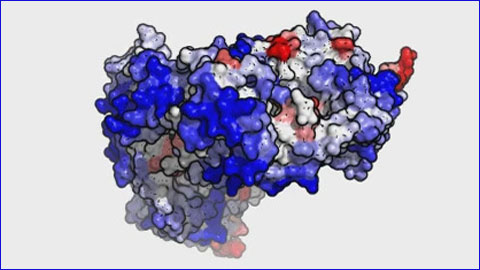 Un nuevo método en 3D mejora el estudio de las proteínas