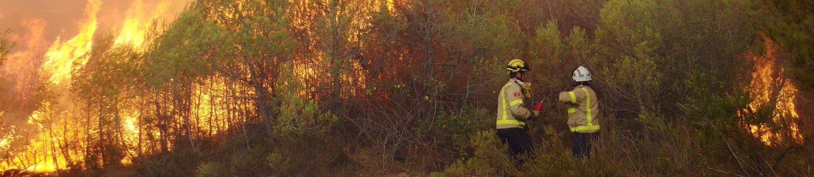 L039ICTA-UAB dissenyara una estrategia de prevencio d039incendis forestals per al Montseny de forma