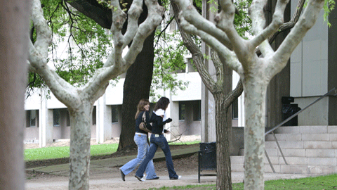 Facultat de Dret