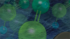 18th International Workshop on the Enzymology and Molecular Biology of Carbonyl Metabolism
