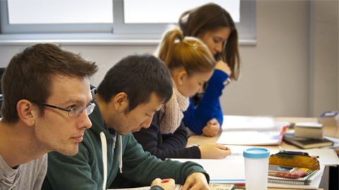 Cursos 2016-2017