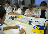 Imatges del Campus Ítaca 2008