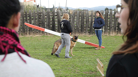 A les instal·lacions de Terra Gossos durant un entrenament