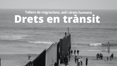 Cicle de tallers