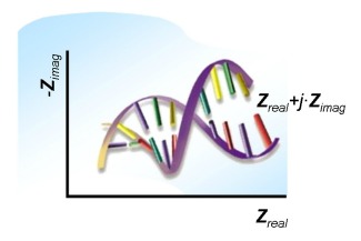 Sensors DNA