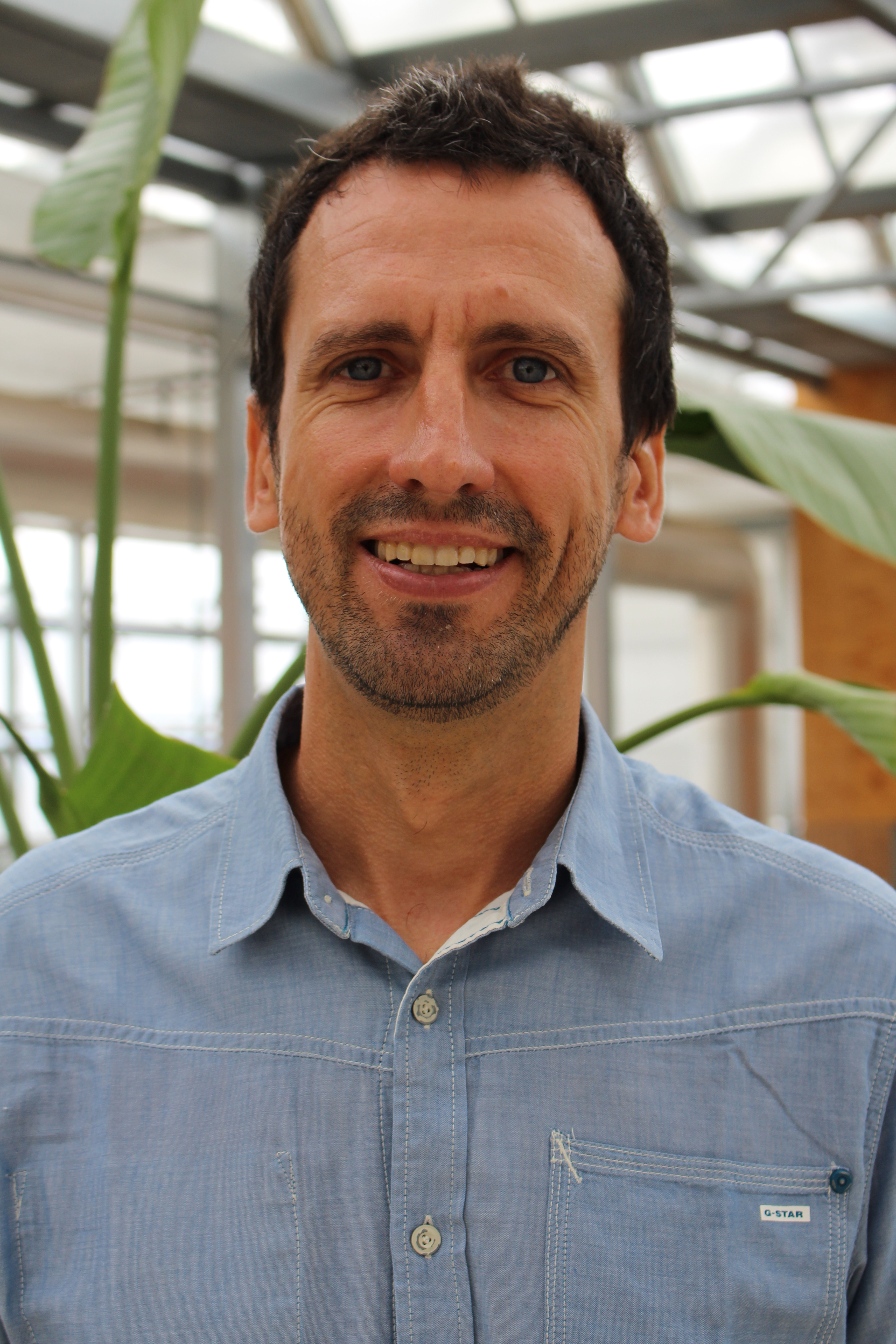 Esteve Corbera