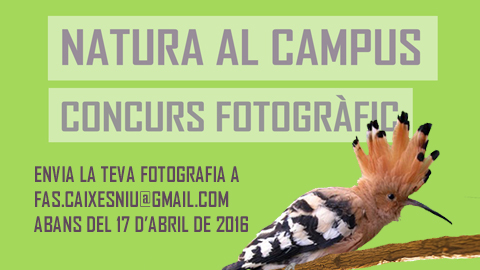 Concurs de fotografia