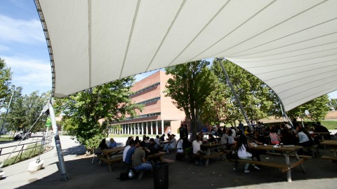 Estudiants a la Carpa