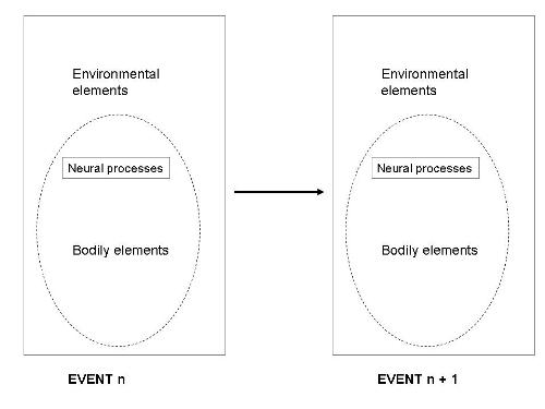 processos sensoriomotrius 1