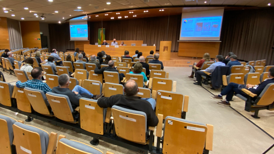 Sala d'actes del rectorat