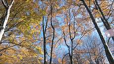 Màsters oficials de Biociències a la UAB. Ecologia Terrestre i Gestió de la Biodiversitat