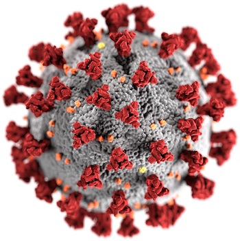 Fake images of the SARS-CoV-2 coronavirus