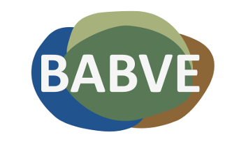 LOGO BABVE