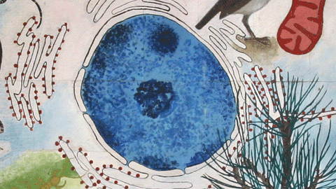 Detall d'un mural a la Facultat de Biociències