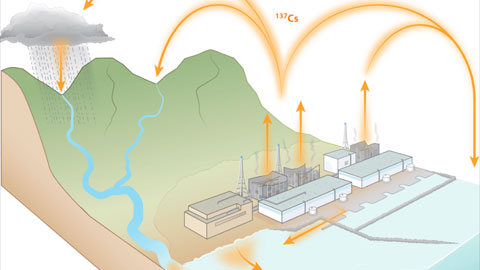 Fukushima