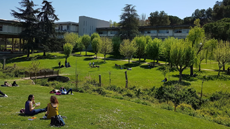 Campus UAB estiu 2019