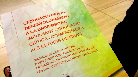 Diagnosi de l'estat de l'EpD a la universitat