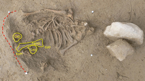 Jornada paleogenètica al Camp de Les Lloses